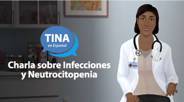 Simulación TINA en Español